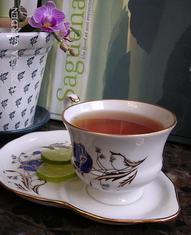 PEREGRINE MOUNTAIN TGFOP 1st FLUSH, Wise Tea Garden