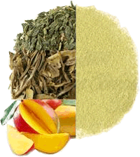 ORGANIC MANGO MATCHA