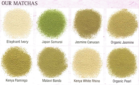 Matcha Varieties