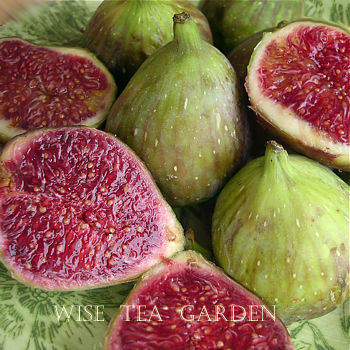 ORGANIC SLIMMING OOLONG, Wise Tea Garden