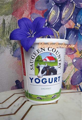 L'Ancetre ORGANIC BUTTER