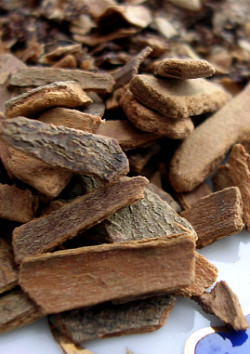 Cinnamon Bark