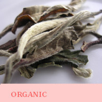 Organic Tea