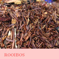 Rooibos