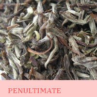 Rare and Penultimate Tea