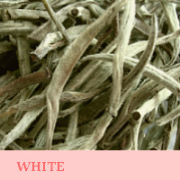 Luxury White Tea