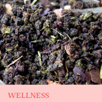 Wellness and Antioxidant Teas