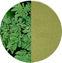 ORGANIC MORINGA POWDER