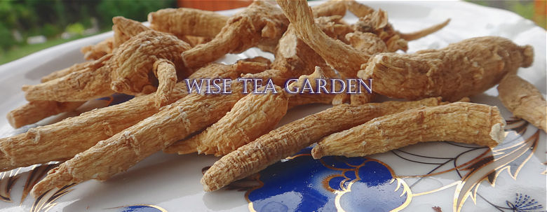 CANADIAN GINSENG, Wise Tea Garden