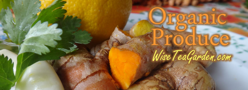 CERTIFIED ORGANIC PRODUCE